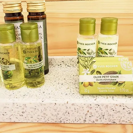 Διαμέρισμα Santorinivibesdrymades *